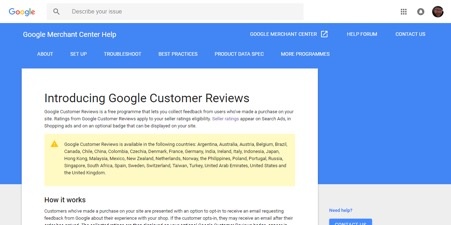 Google Customer Reviews 