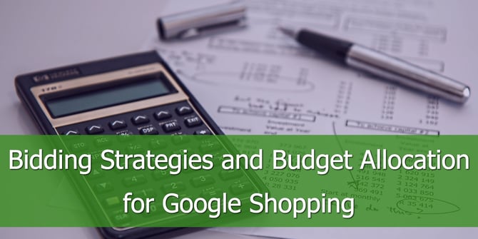 Bidding Strategies and Budget Allocation in Google Shopping
