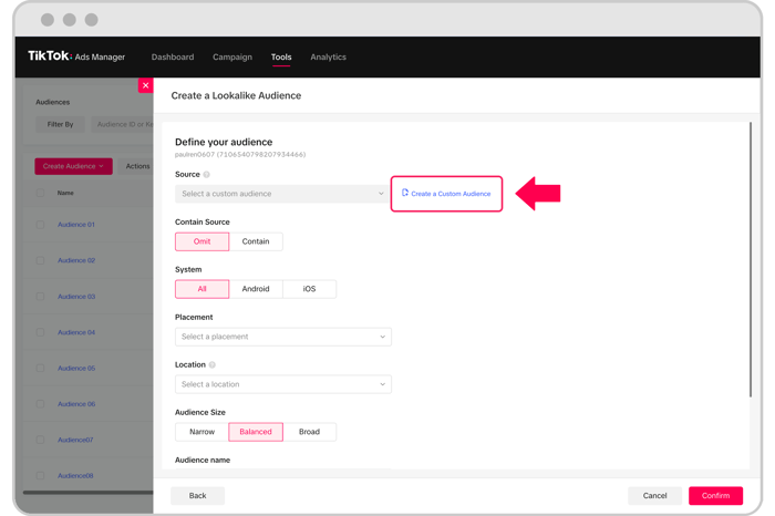 tiktok_custom_audience