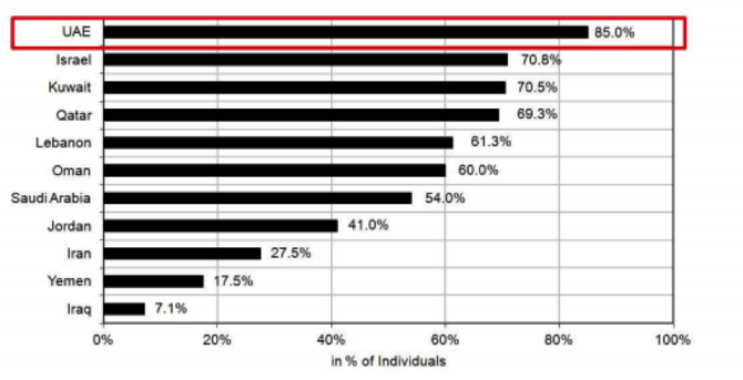 UAE Internet Use for Google Shopping