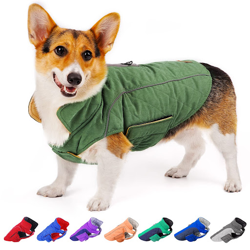dogs jacket product example
