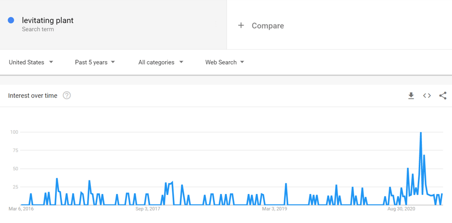 levitating-plant-google-trends-2