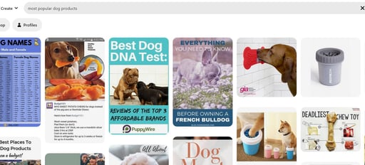 pinterest dog products