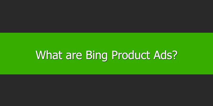 what-are-bing-product-ads