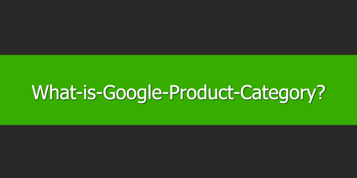 what-is-google-product-category 1