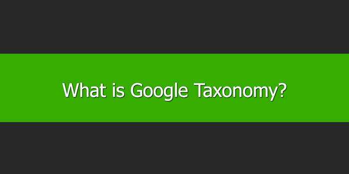 What is Google Taxonomy